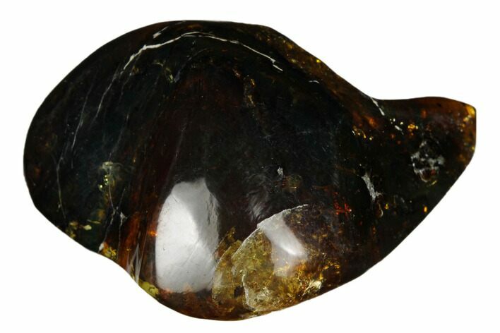 Polished Chiapas Amber ( g) - Mexico #180440